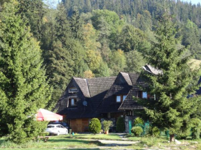 Camping Harenda Pokoje Gościnne i Domki